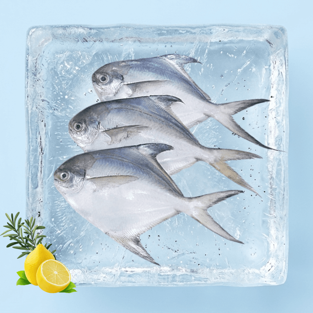 白鲳 Bawal Putih | Silver Pomfret (Cleaned)