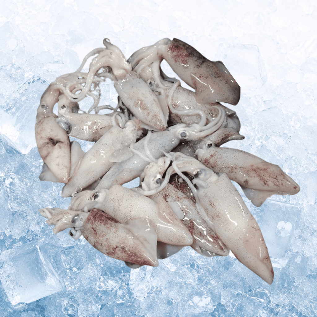 ๅฐ้ฒๅ่่ไธ Fresh Endau Sotong