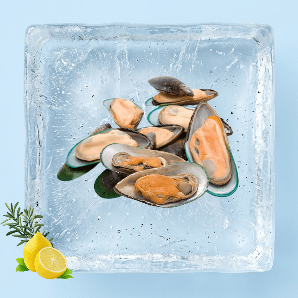 ้็่ New Zealand Half Shell Green Mussel