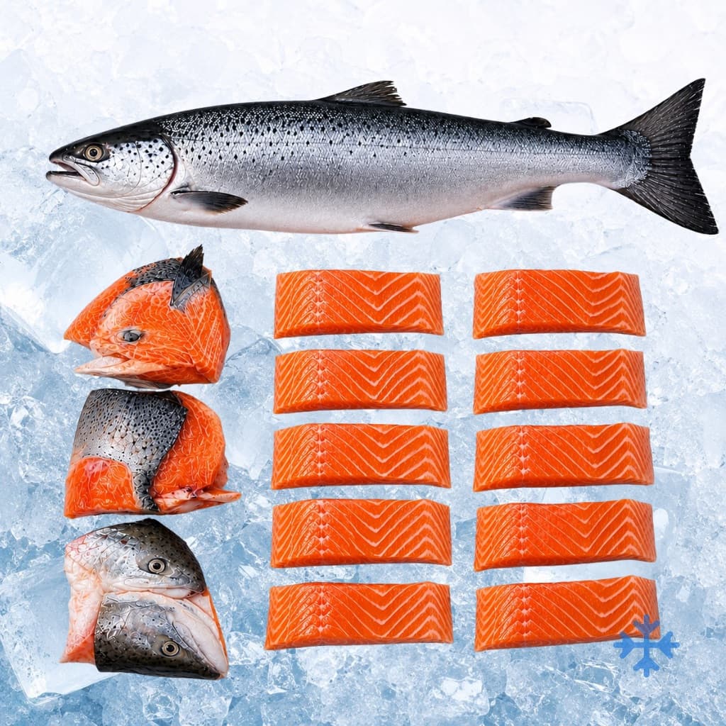 ๅบ่บซไธๆ้ฑผ Sashimi Grade Norwegian Salmon Trout (Pre-order)